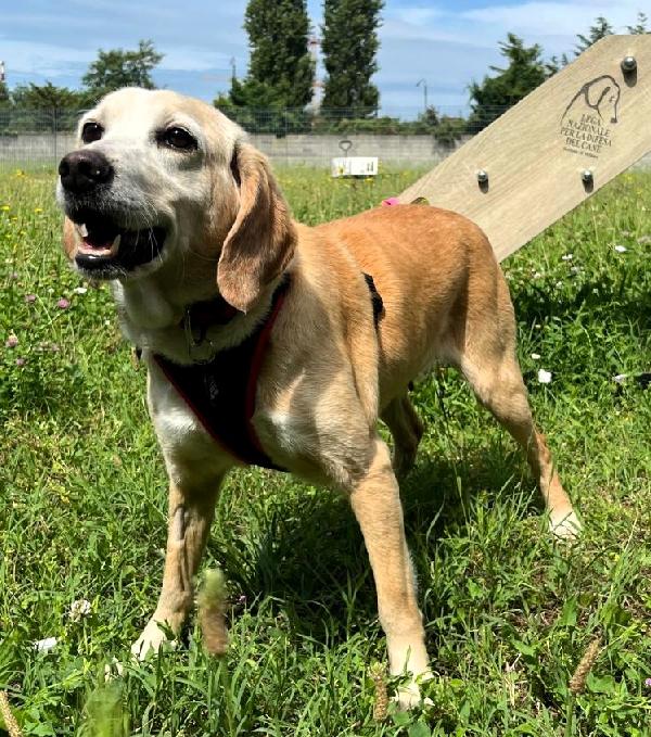 GISELLE CAGNOLINA GENTILE Foto 2